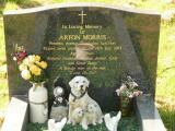 image of grave number 647708